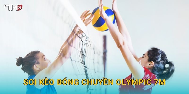 Giải Bóng Chuyền Olympic 7M – Dự Đoán Kết Quả Và Kèo Thắng Lớn 2025 3 Soi kèo bóng chuyền Olympic 7M