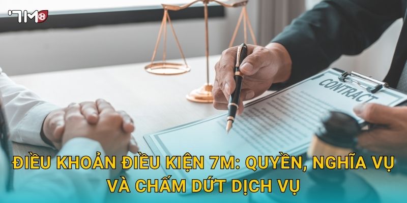 Điều khoản điều kiện 7M – Quy định sử dụng, nghĩa vụ rõ ràng 2 Điều khoản điều kiện 7M: quyền, nghĩa vụ và chấm dứt dịch vụ