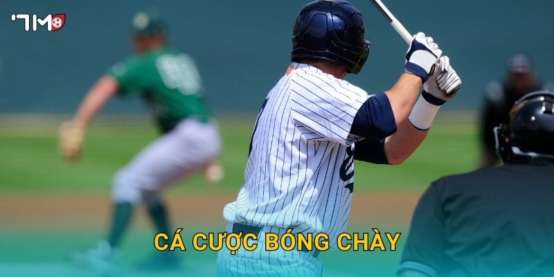 Cá Cược Bóng Chày 7M – Bí Kíp Dự Đoán Kết Quả Chính Xác Nhất
