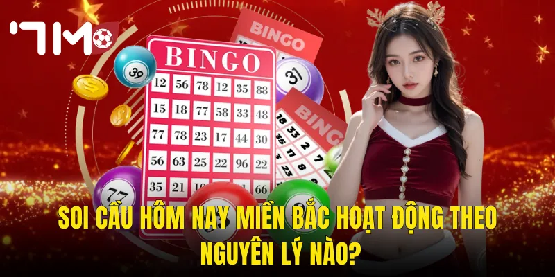 Soi Cầu Hôm Nay Miền Bắc Hoạt Động Theo Nguyên Lý Nào?